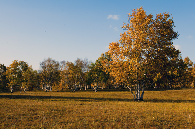 DSC_2917����.jpg
