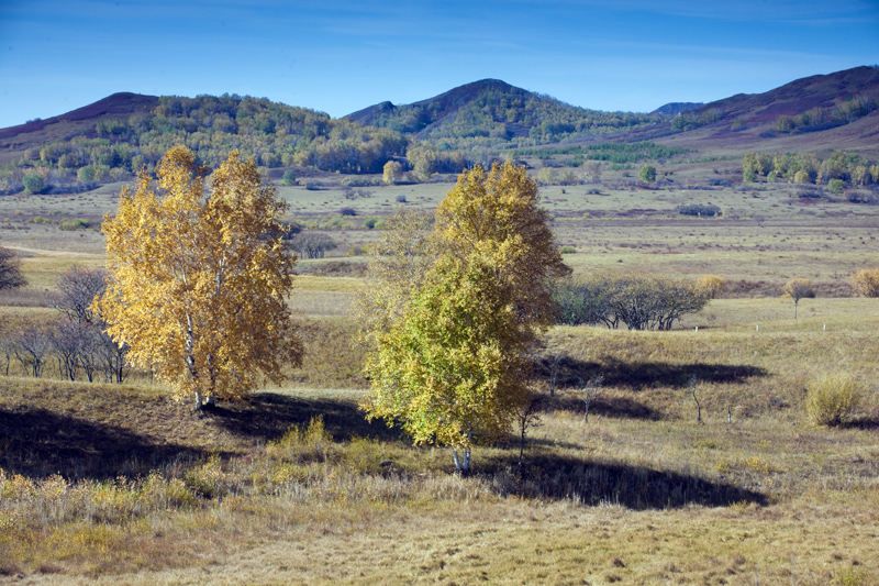 DSC_3057����.jpg