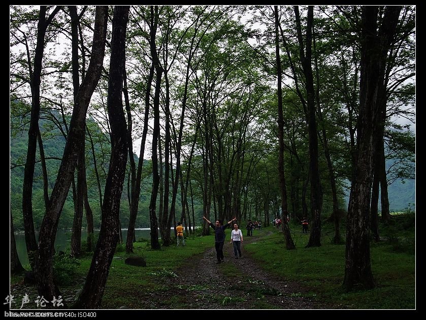 200905040921234561-1925464.jpg