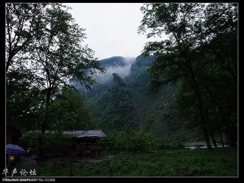 200905040923033971-1925464.jpg