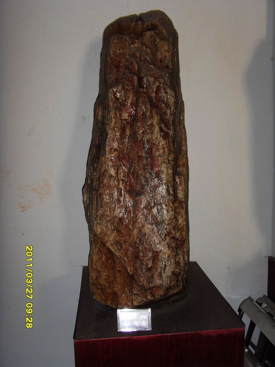 SDC10054.jpg