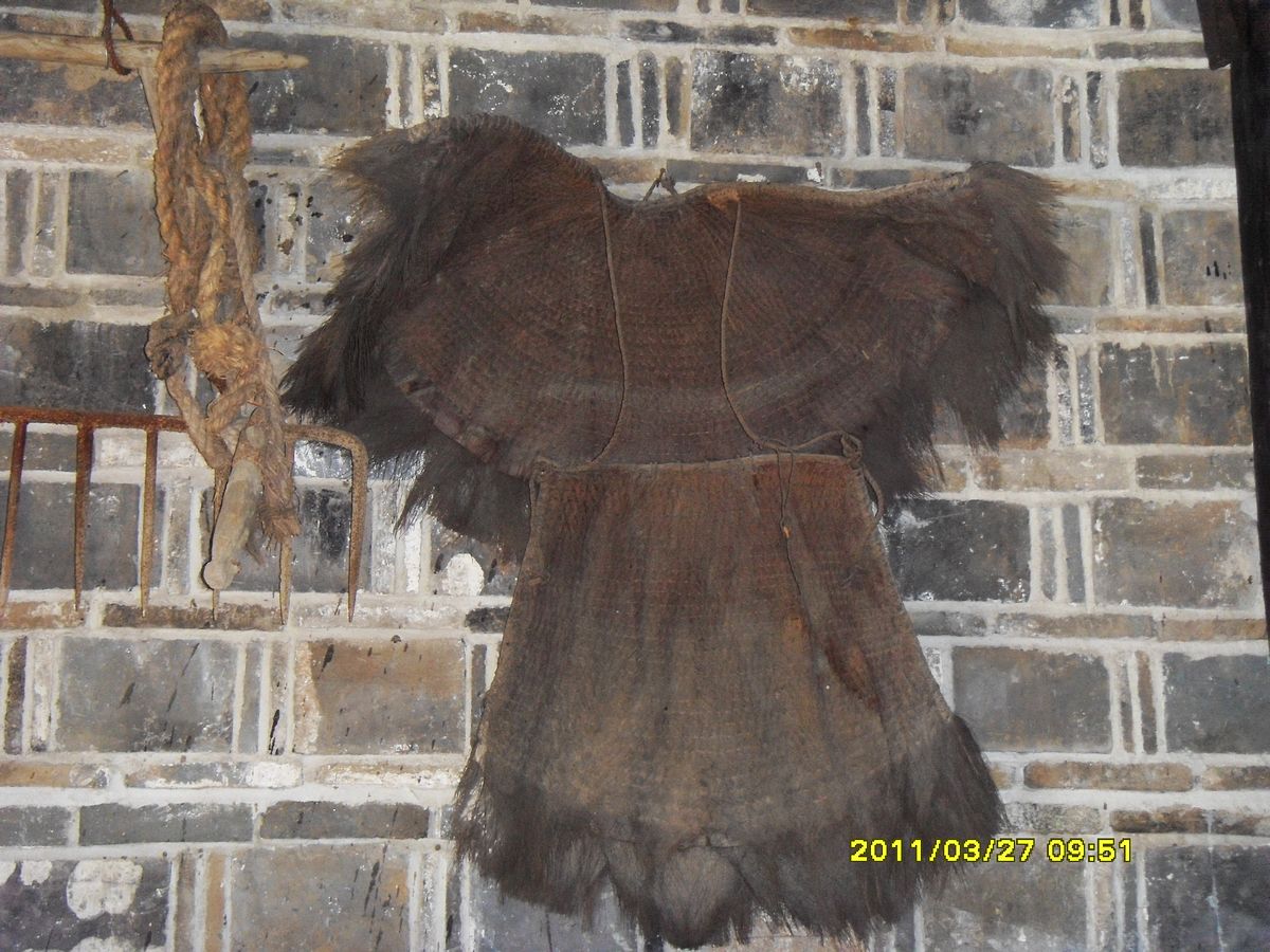 SDC10106.jpg