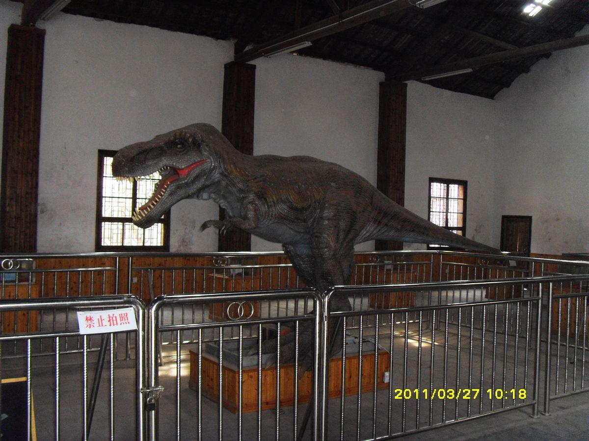 SDC10141.jpg