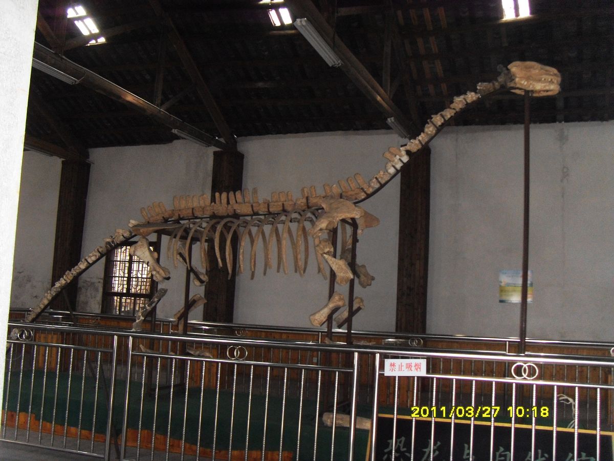 SDC10142.jpg