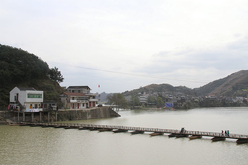 IMG_5264_1.jpg