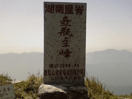 ����.gif