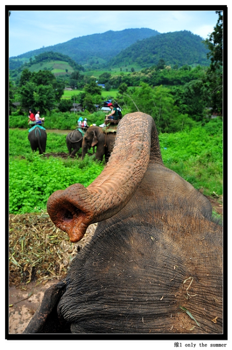 ������Ƭ 145.jpg