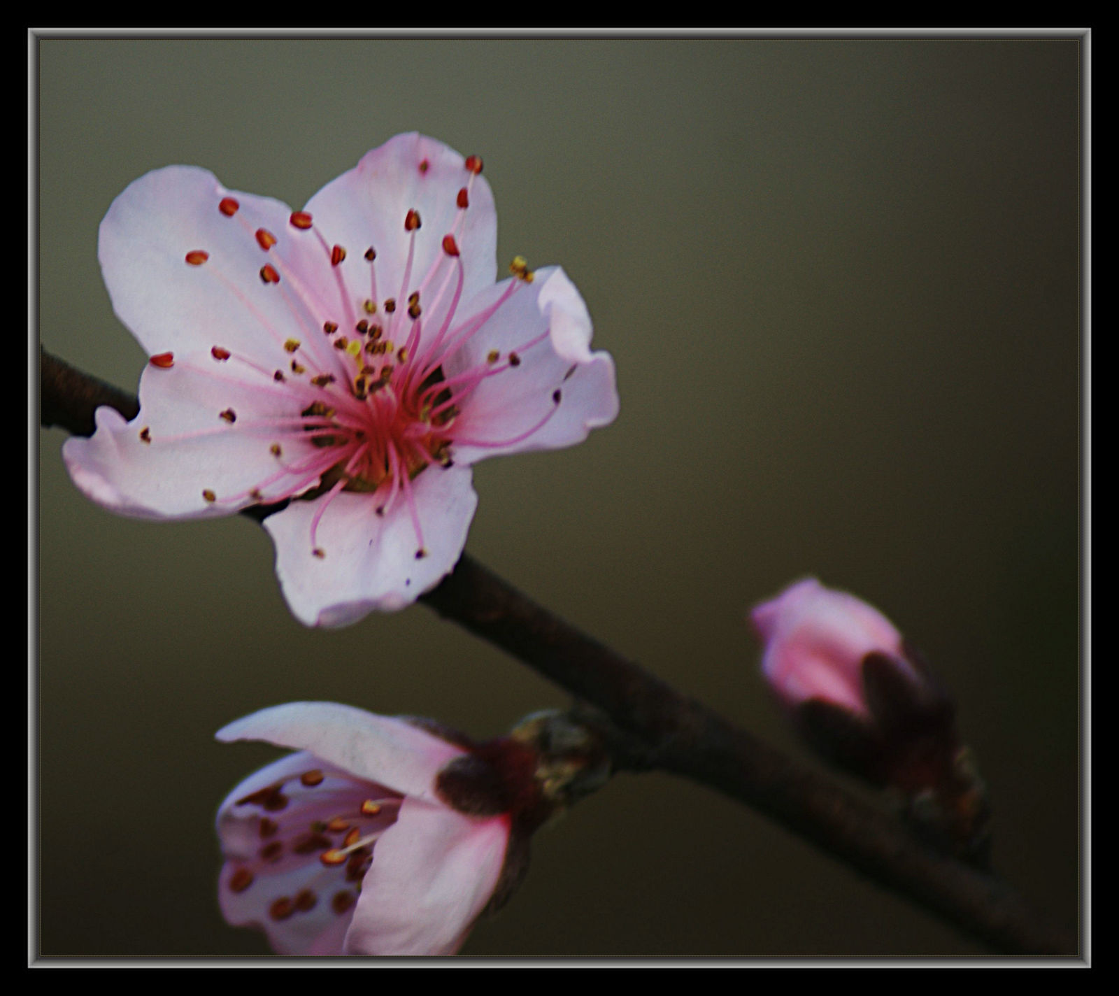 DSC09797.jpg