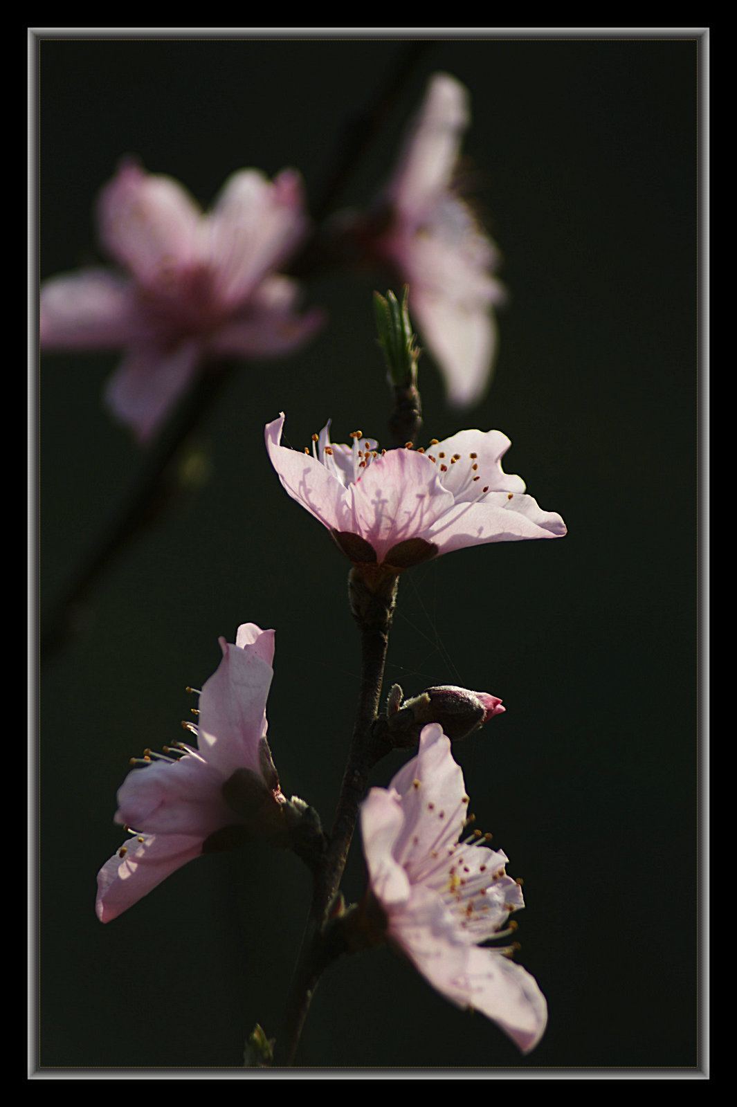 DSC09826.jpg