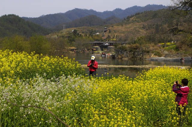 _LEI0501.jpg