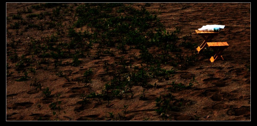 DSC_0335.jpg