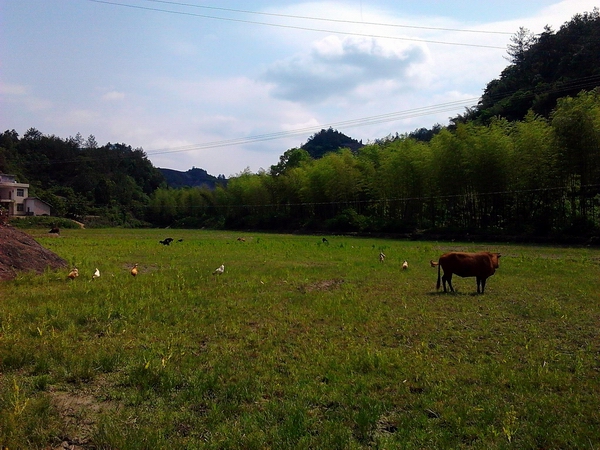 ��Ƭ0379.jpg