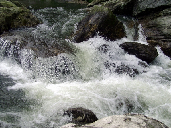 DSC08095.jpg