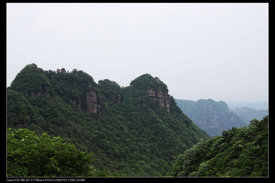 IMG_1576.jpg