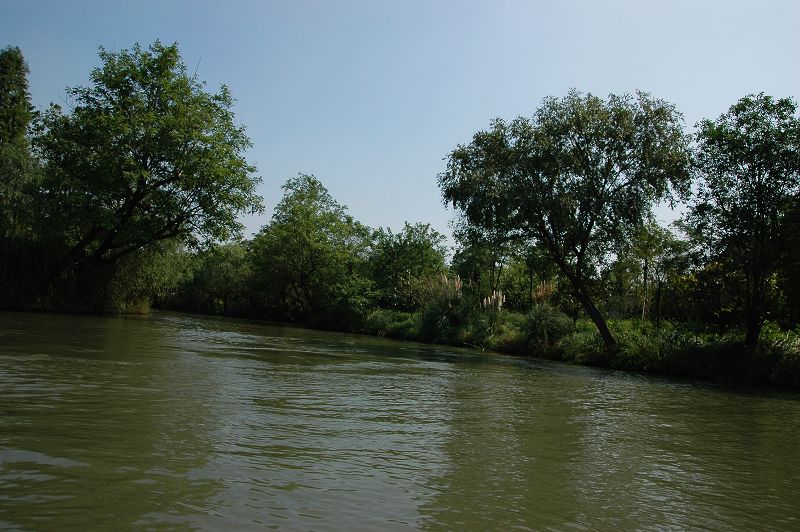 DSC_0244.jpg