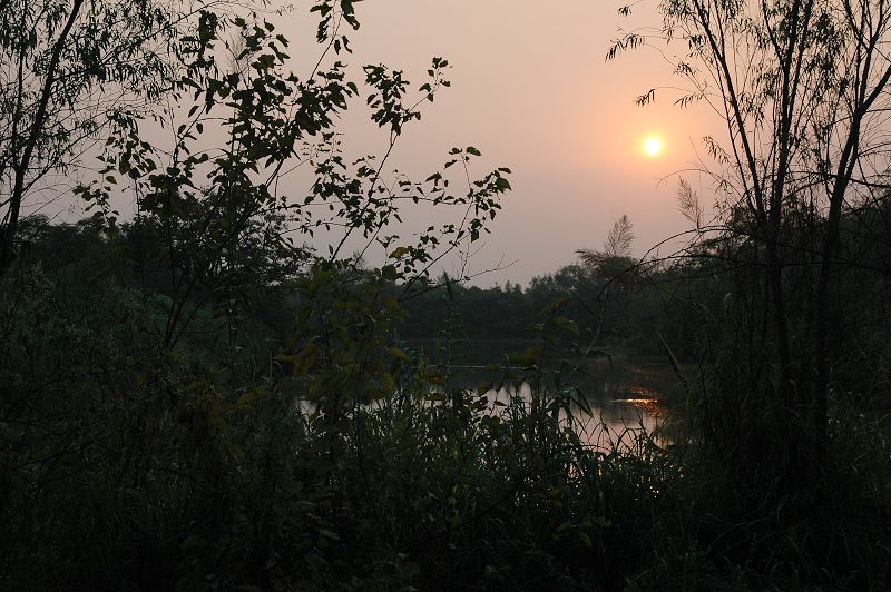 DSC_0385.jpg