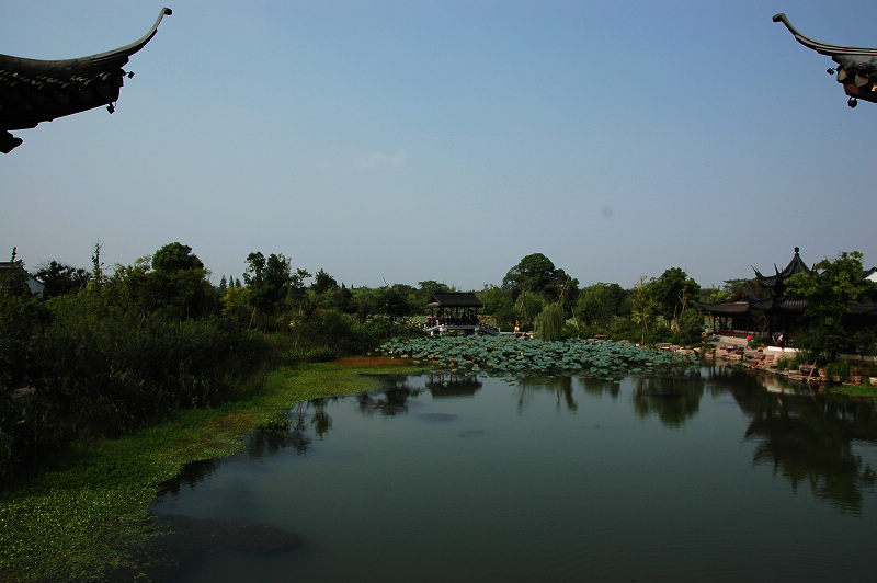 DSC_0294.jpg