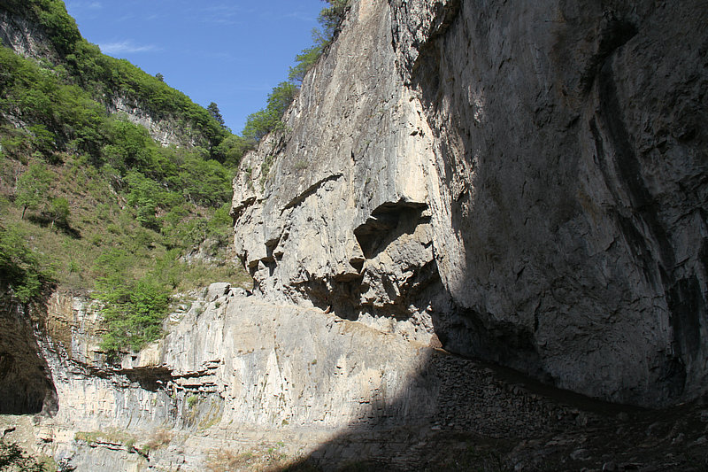IMG_6958.jpg