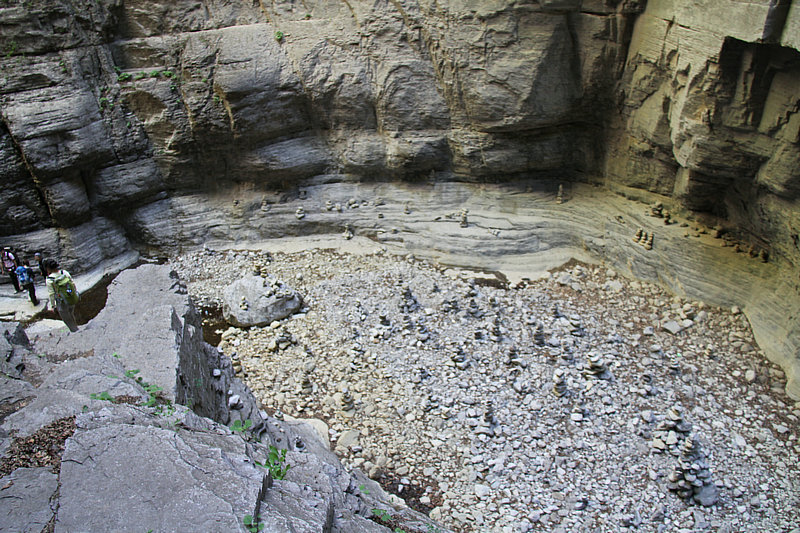 IMG_7010.jpg