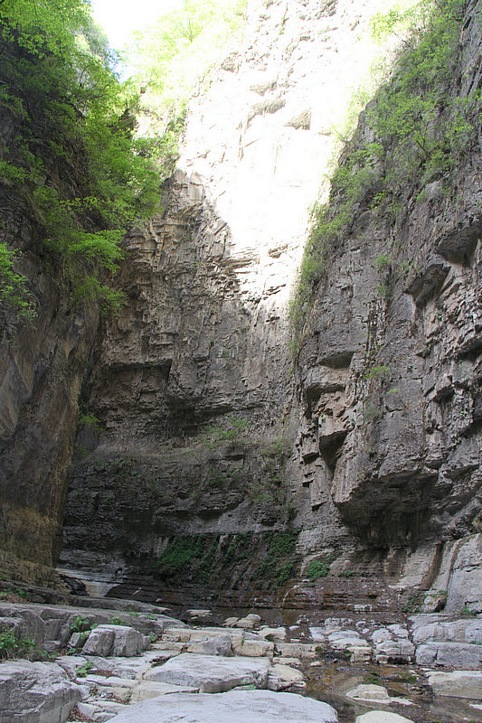 IMG_7014.jpg