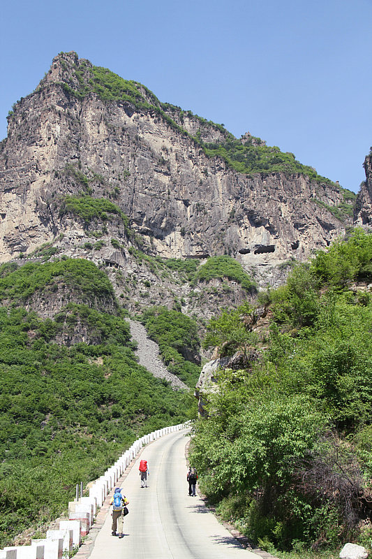 IMG_7383.jpg