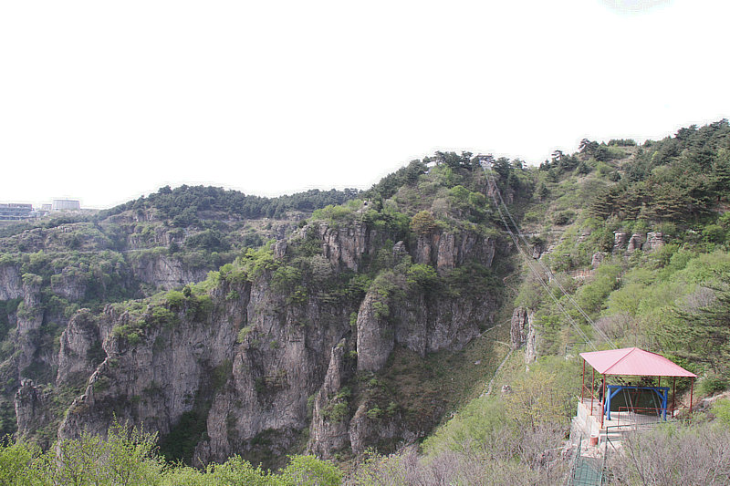IMG_7497.jpg