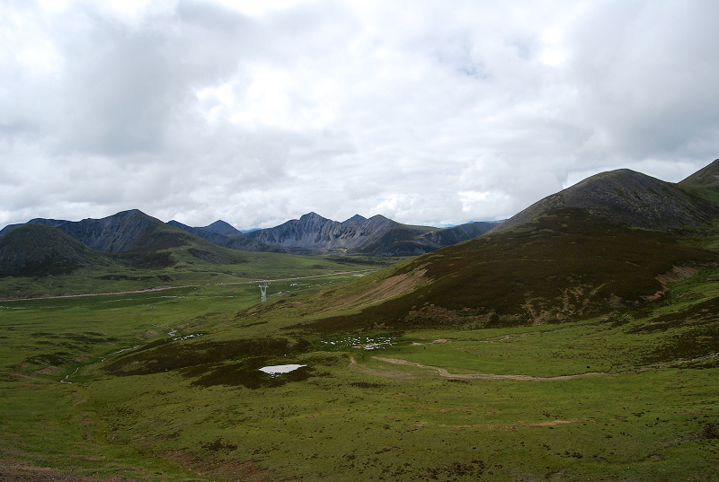 n60 1162.jpg
