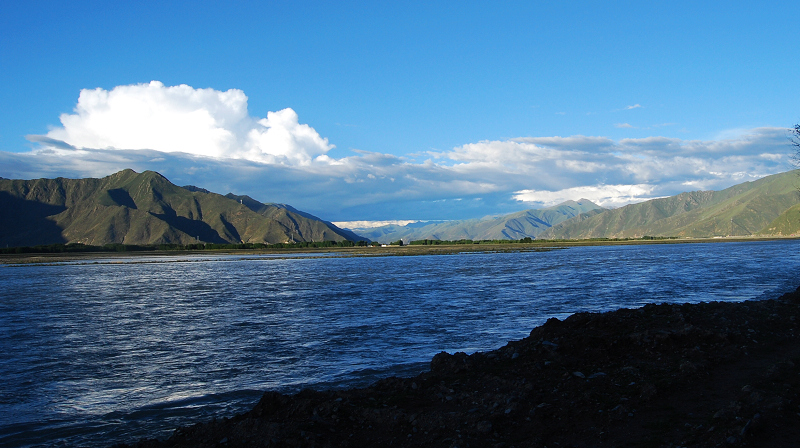 n60 1170.jpg