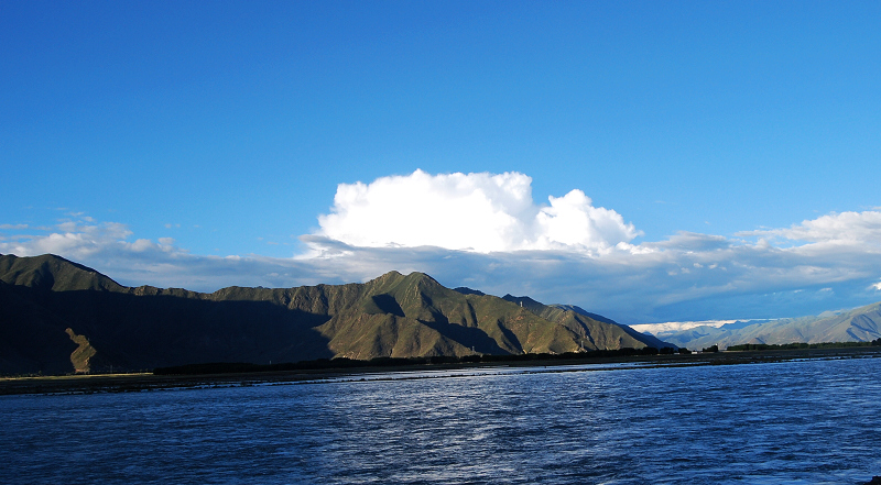 n60 1174.jpg