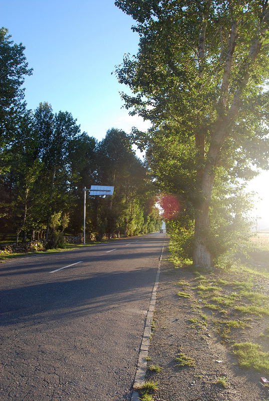 n60 1180.jpg