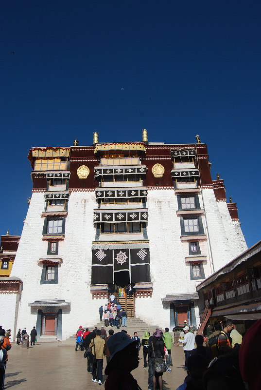 n60 1214.jpg