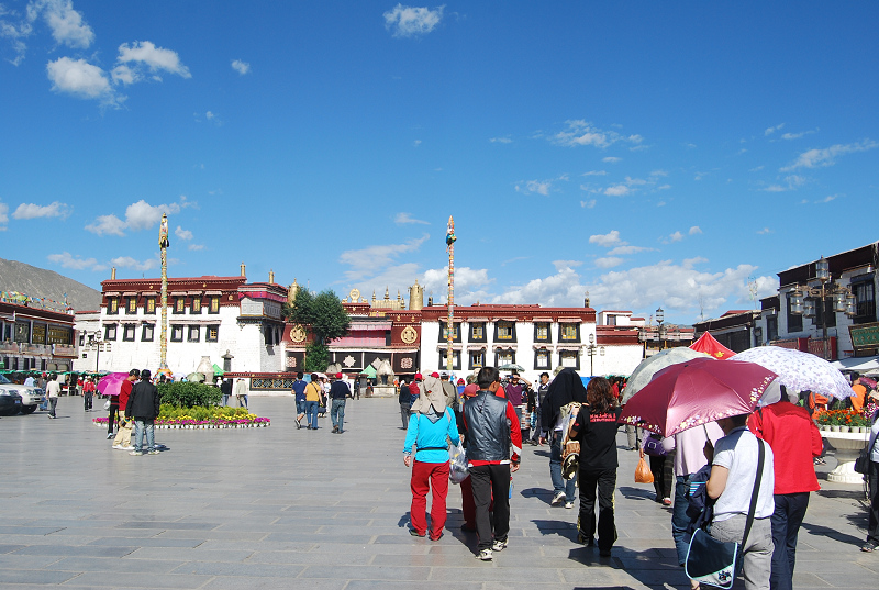 n60 1224.jpg