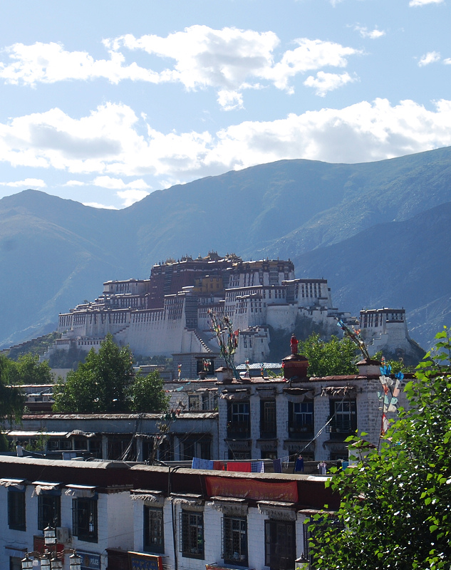 n60 1239.jpg