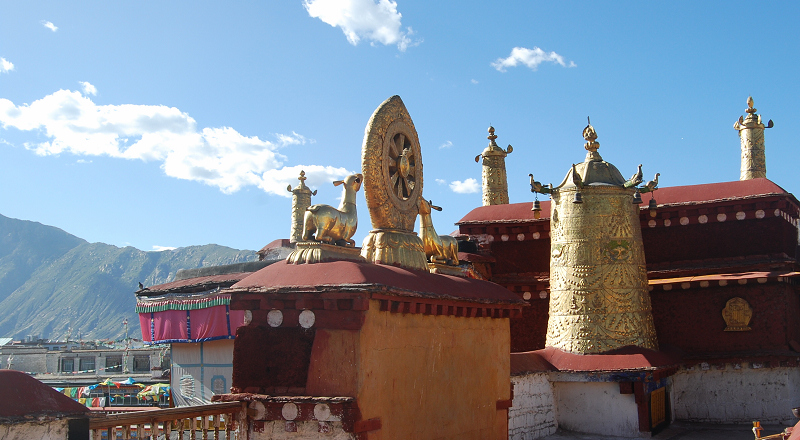 n60 1242.jpg