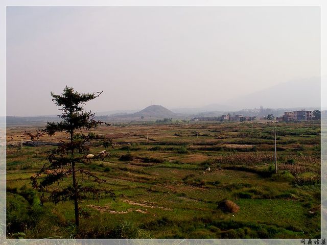 PICT9469.jpg