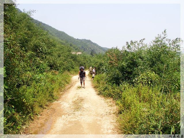 PICT9483.jpg