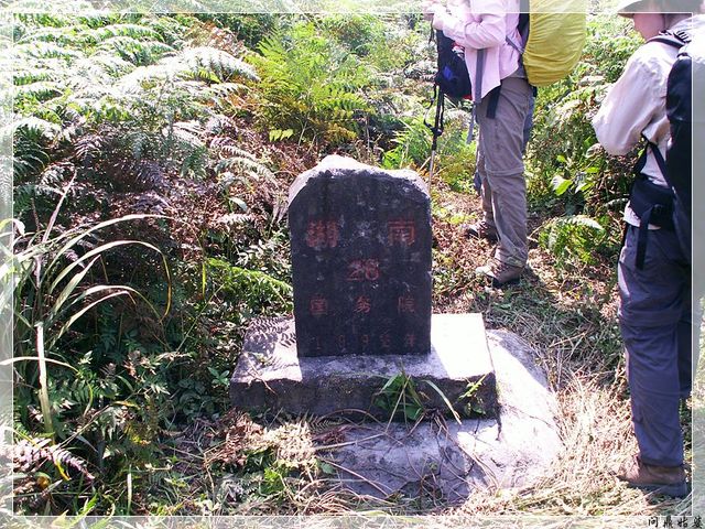 PICT9491.jpg