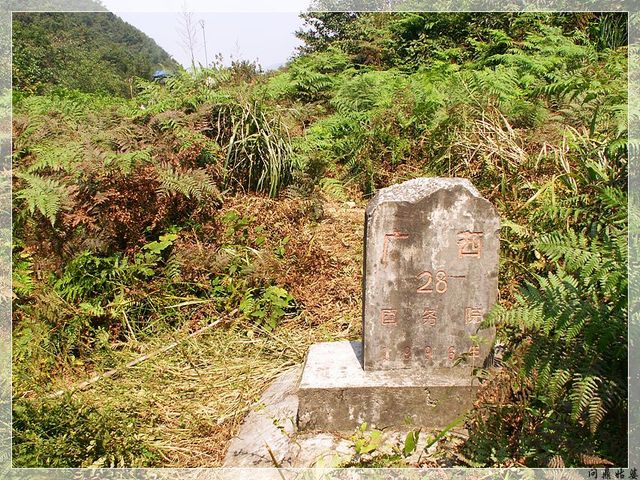 PICT9494.jpg