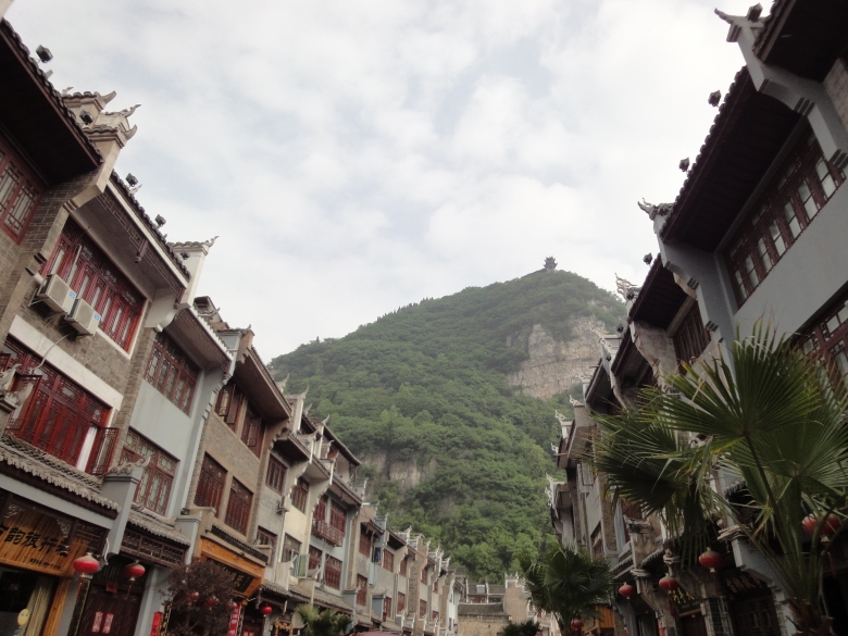 DSC02973_conew1.jpg