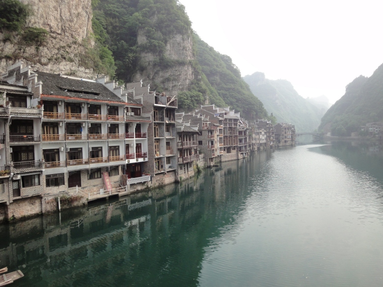 DSC02981_conew1.jpg