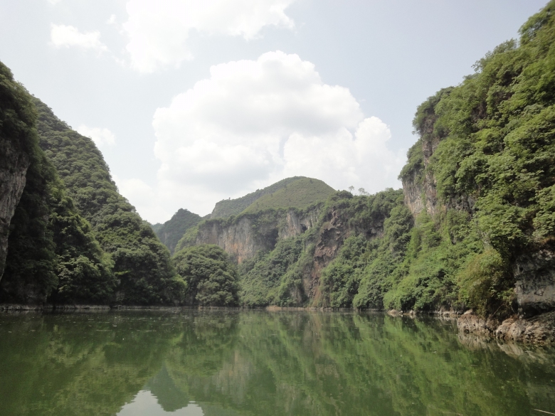 DSC03177_conew1.jpg