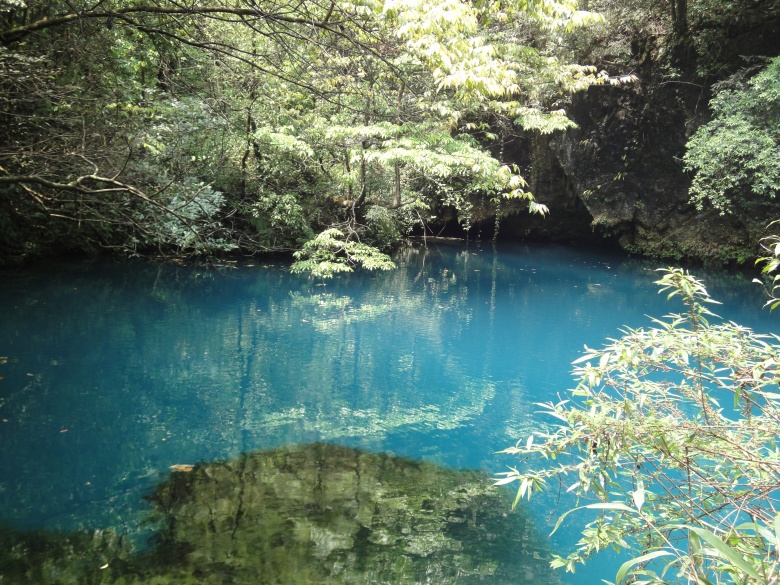 DSC03392_conew1.jpg