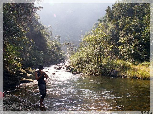 PICT9511.jpg