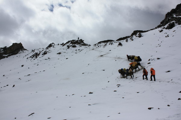 IMG_5550.JPG