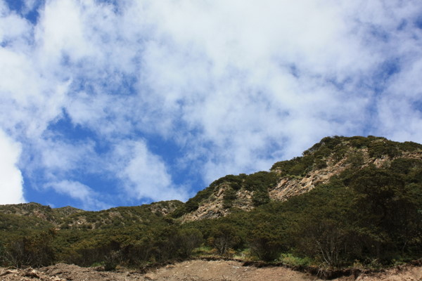 IMG_5895.JPG