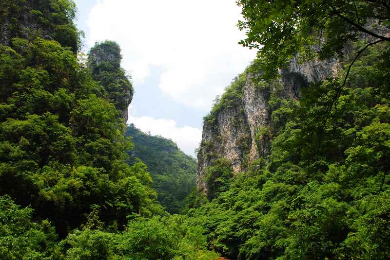 DSC_5665.JPG