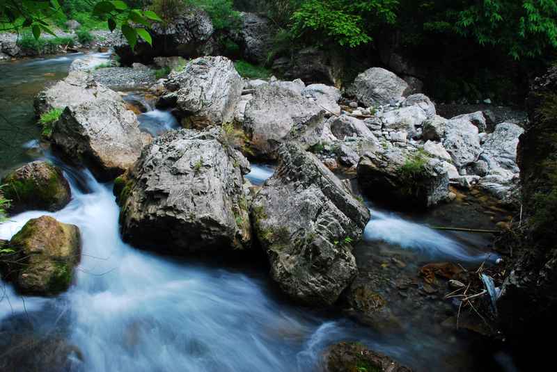 DSC_5943.JPG
