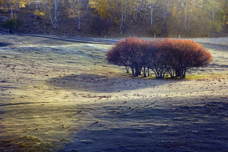 DSC_3155����.jpg
