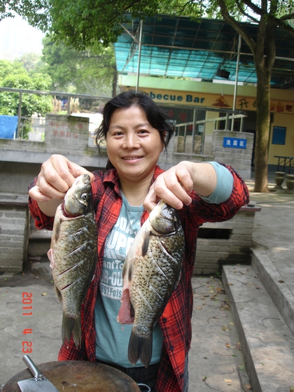 DSC00048.JPG