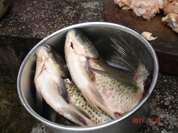 DSC00033.JPG